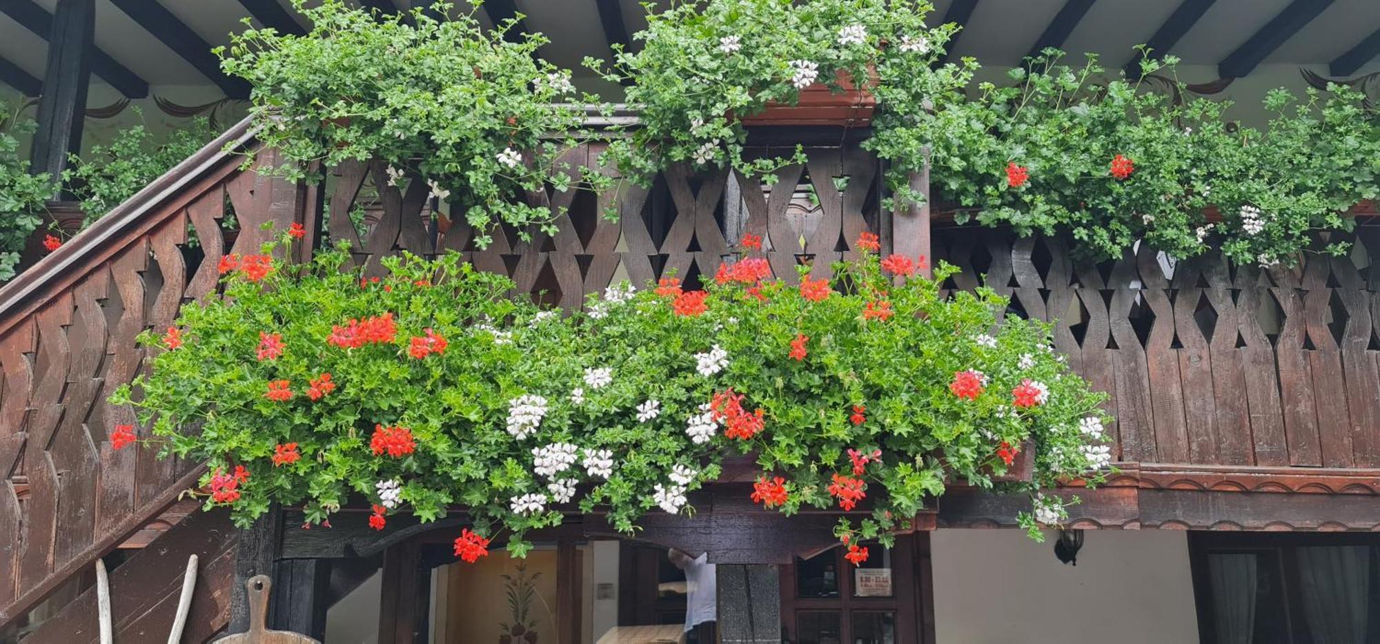Стаи За Гости The Old House Velingrad Kültér fotó